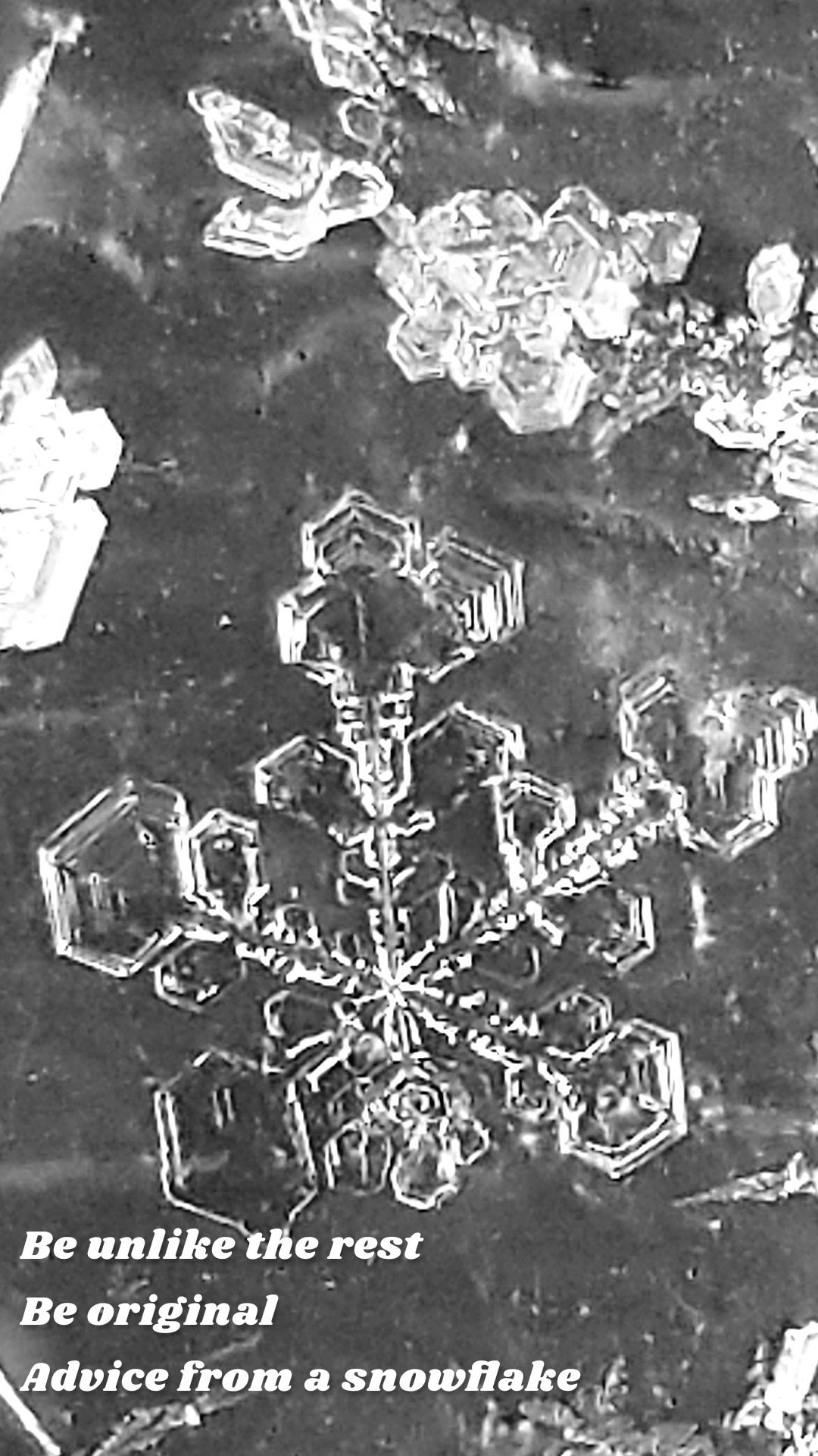 Be unlike the rest
Be original 
Advice from a snowflake 